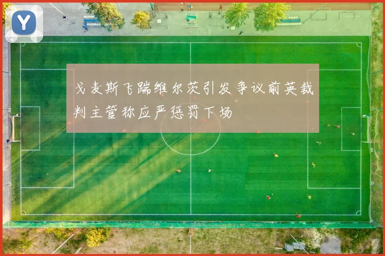 戈麦斯飞踹维尔茨引发争议前英裁判主管称应严惩罚下场