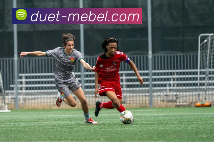 广发体育发展历程