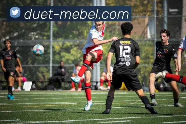 广发体育APP 高清赛事图